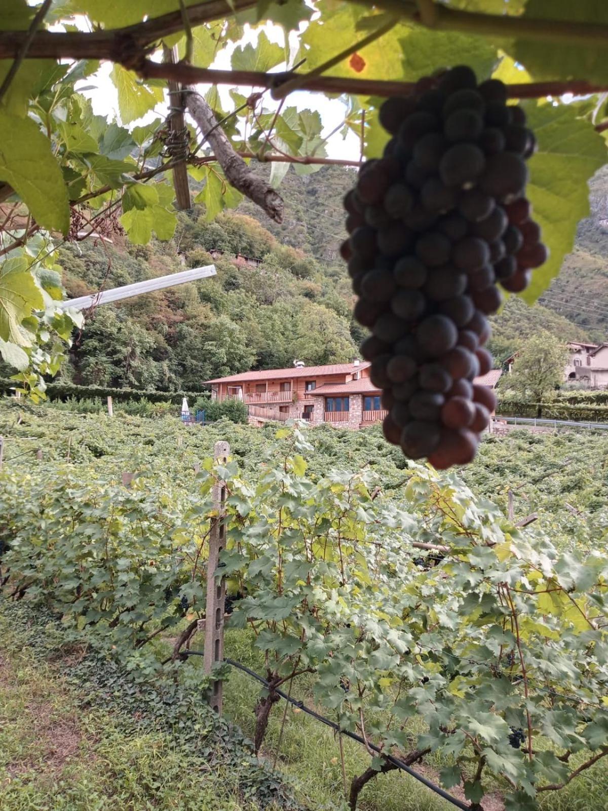 La Caigola Séjour à la ferme