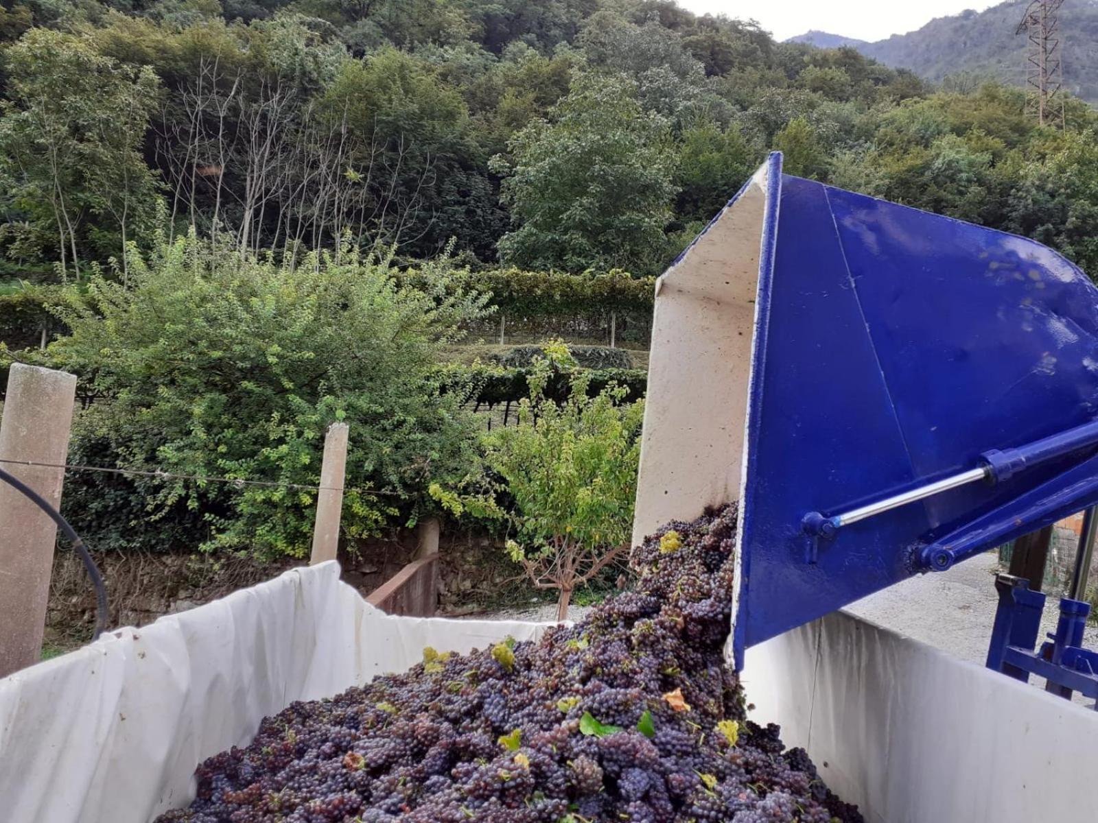 La Caigola Alojamento de Turismo Rural Ala